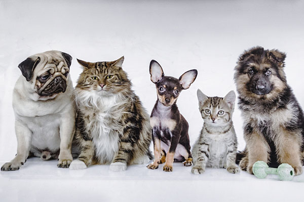 Photograph Byoung Jun Kwon Family on One Eyeland
